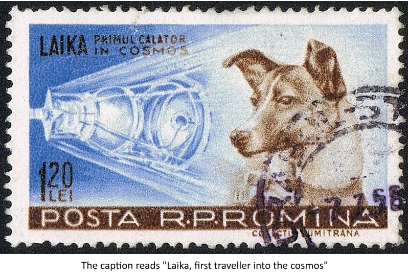 stamp